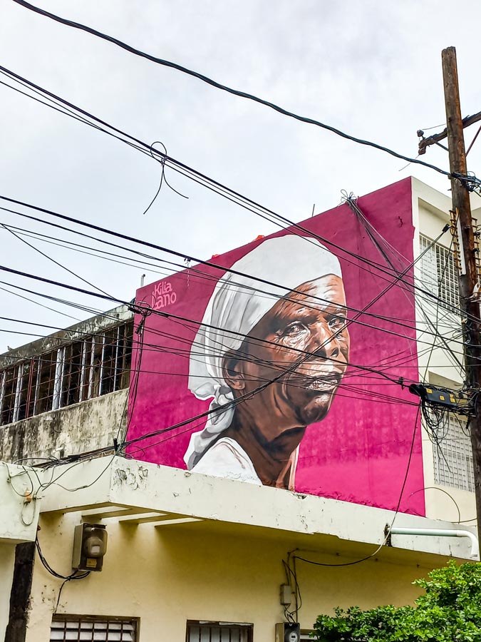 Murales-de-Ciudad-Nueva-2